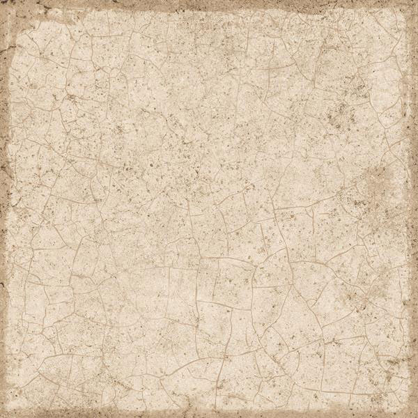 SP 80100 BG 01 R7